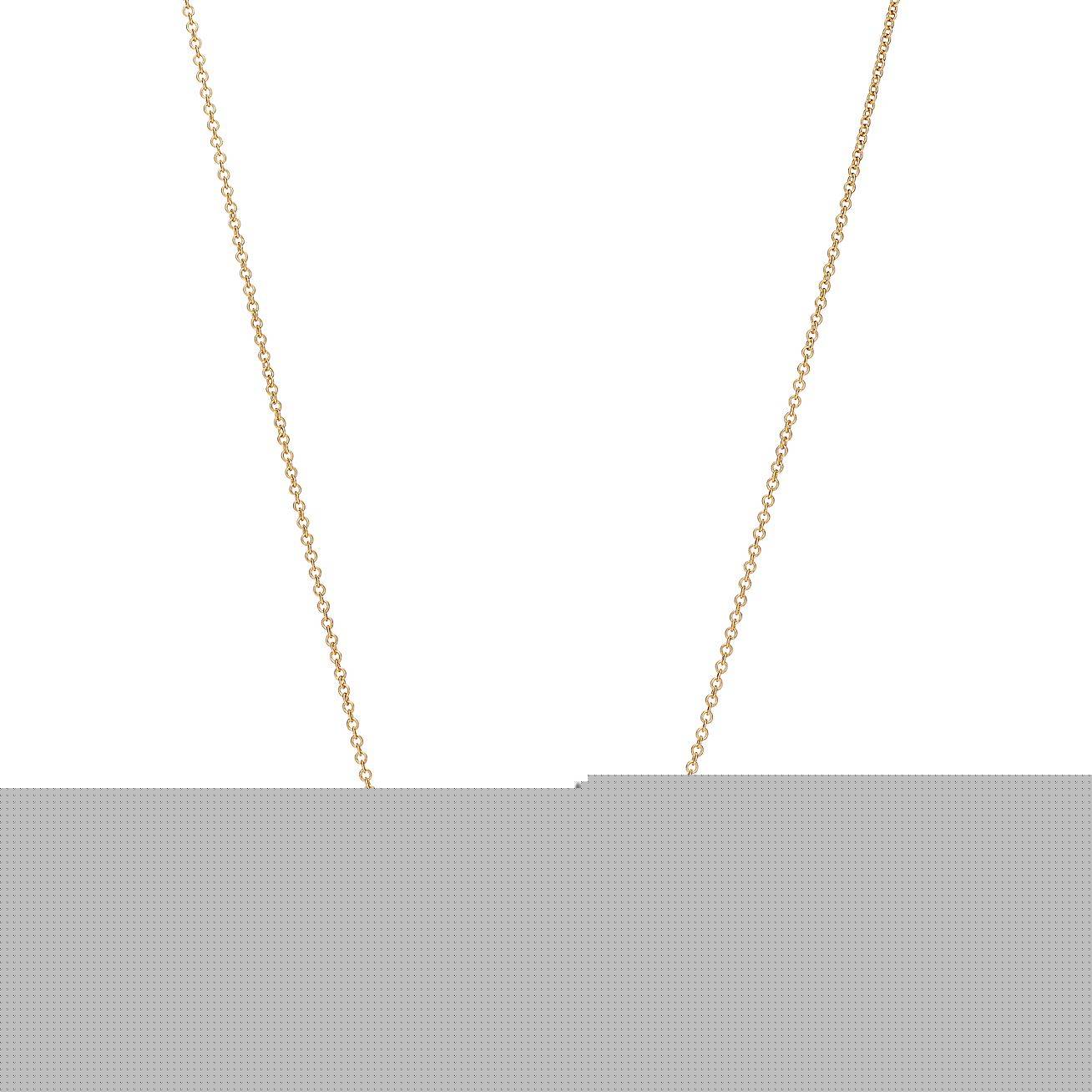 T*f*ny  paloma picasso® olive leaf vine pendant