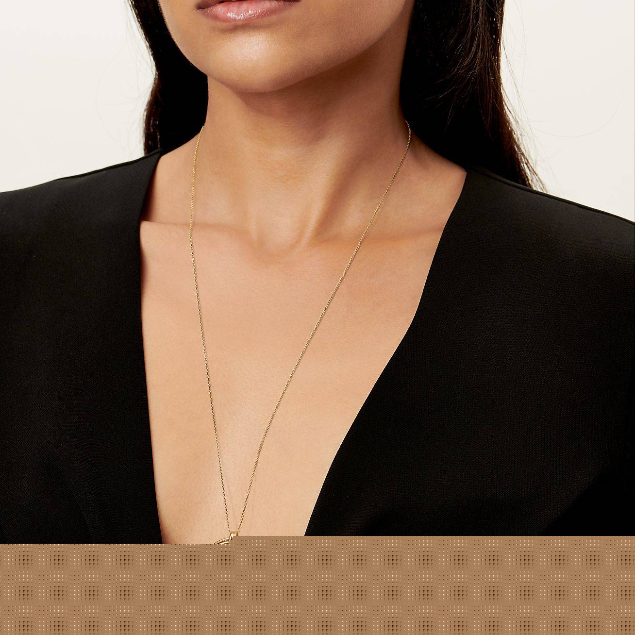 T*f*ny  palomas melody circle pendant